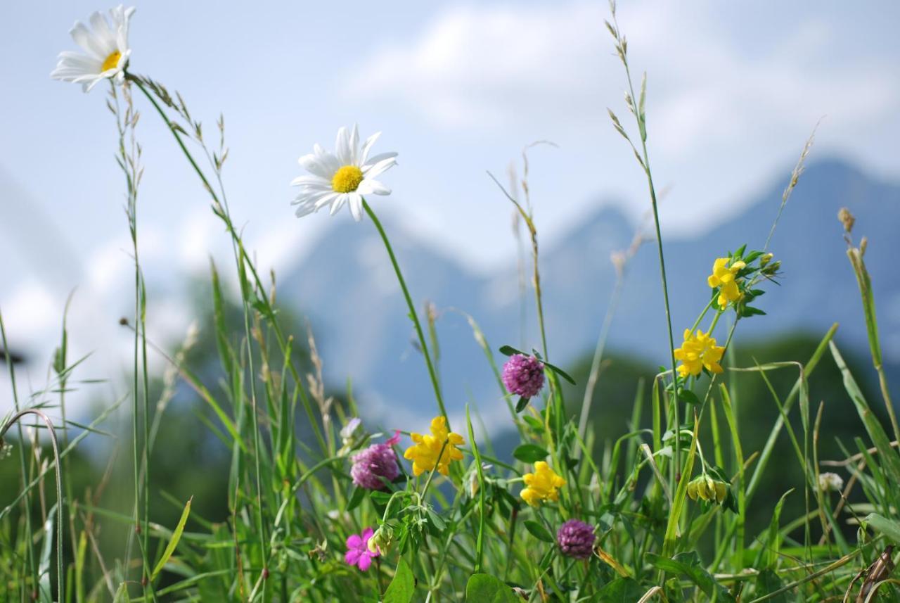 Appartements Blumenwiese Ramsau am Dachstein Exterior foto